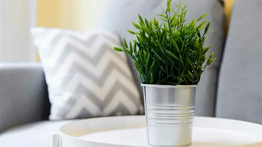 Rooms in Milano Zona 8 - Fiera, Gallaratese, Quarto Oggiaro - photo 7