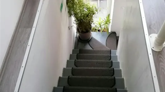 Rooms in Besnica - photo 6