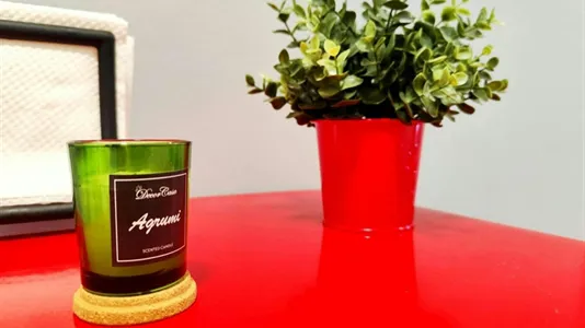 Apartments in Pero - photo 6