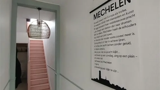 Houses in Mechelen - photo 2
