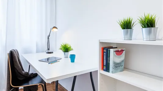 Rooms in Padua - photo 4