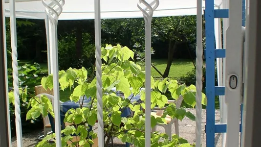 Apartments in Besnica - photo 7