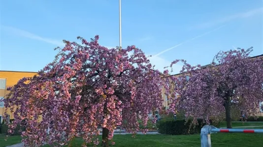 Apartments in Norrköping - photo 3