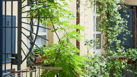 Apartments in Turin - photo 8