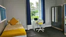 Room for rent, Arbour Hill, Dublin (county), Royal Canal Terrace, Ireland