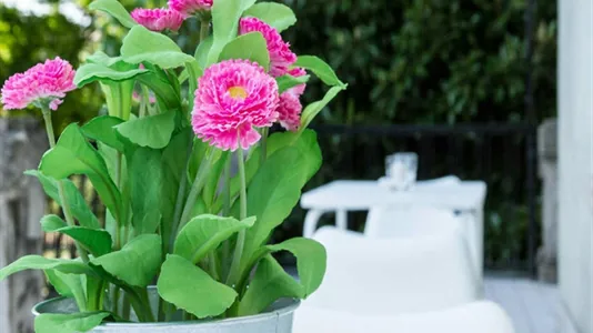 Rooms in Milano Zona 3 - Porta Venezia, Città Studi, Lambrate - photo 7