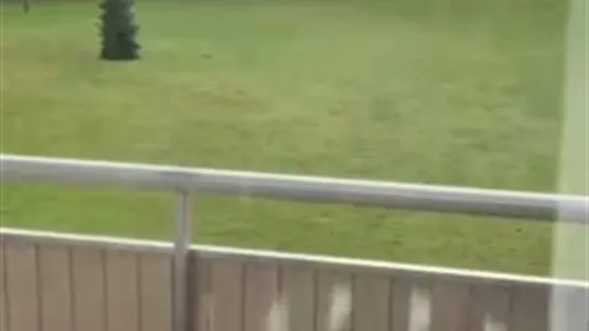 Apartments in Helsingborg - photo 2