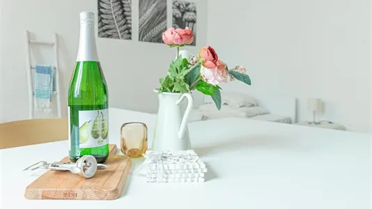 Apartments in Vienna Josefstadt - photo 7