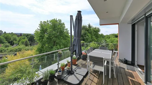 Apartments in Bonn - photo 2