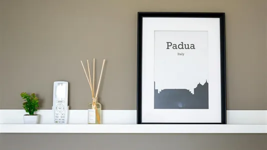 Rooms in Padua - photo 2