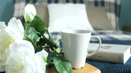 Rooms in Milano Zona 5 - Vigentino, Chiaravalle, Gratosoglio - photo 2