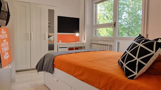 Rooms in Roma Municipio VIII – Appia Antica - photo 6