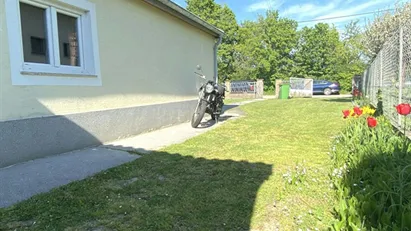 House for rent in Vienna Donaustadt, Vienna