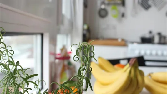 Rooms in Berlin Mitte - photo 10