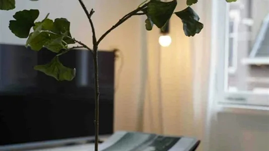 Apartments in Location is not specified - photo 6