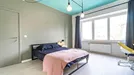 Room for rent, Brussels Sint-Lambrechts-Woluwe, Brussels, Avenue Paul Hymans, Belgium