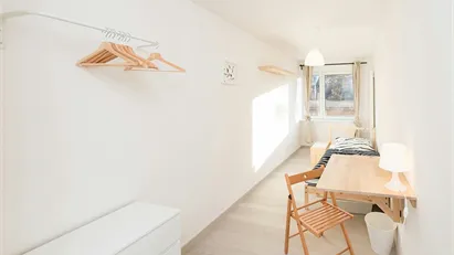 Room for rent in Munich Room for rent in Munich