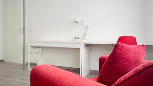 Rooms in Padua - photo 6