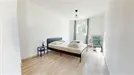 Room for rent, Toulouse, Occitanie, Rue Paul Lambert, France