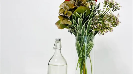 Rooms in Padua - photo 7