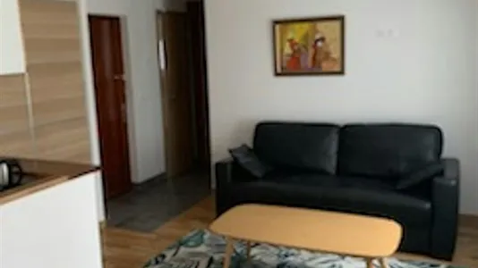 Houses in Strasbourg - photo 4