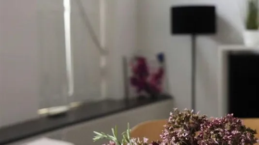 Apartments in Maastricht - photo 8