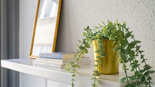 Rooms in Madrid Centro - photo 4