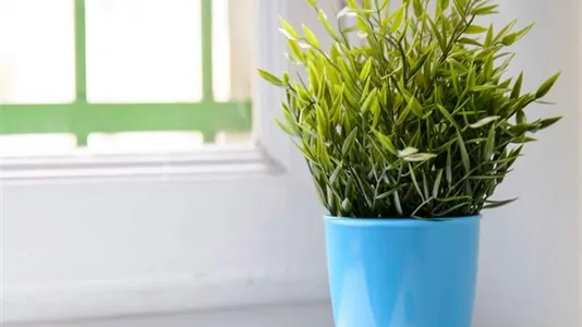 Rooms in Milano Zona 6 - Barona, Lorenteggio - photo 5