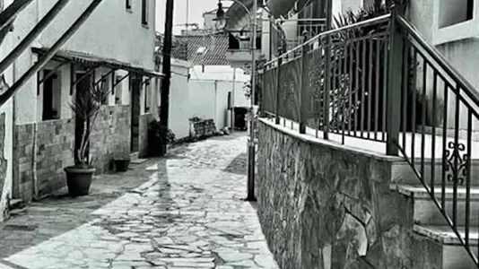 Houses in East Mani - photo 8