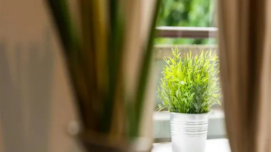 Rooms in Milano Zona 6 - Barona, Lorenteggio - photo 6