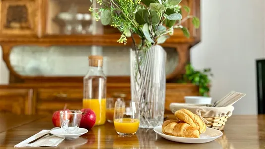 Rooms in Florence - photo 10