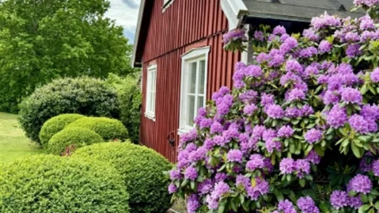 Houses in Båstad - photo 6