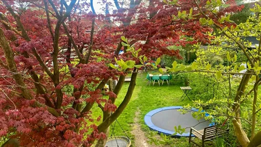 Houses in Hamburg Altona - photo 2