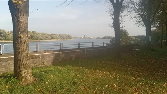 Rooms in Cologne Nippes - photo 9