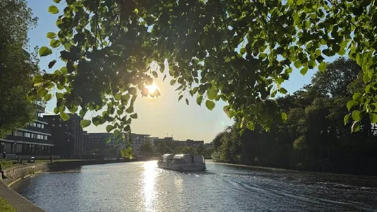 Apartments in Berlin Mitte - photo 1