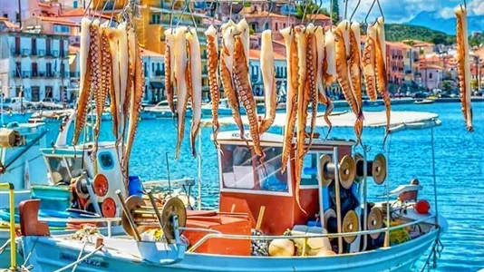 Apartments in East Mani - photo 8