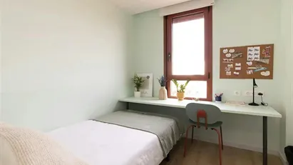 Room for rent in Cerdanyola del Vallès, Cataluña