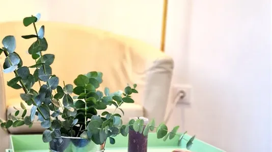 Apartments in Valencia Ciutat Vella - photo 4