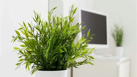 Rooms in Milano Zona 2 - Stazione Centrale, Gorla, Turro, Greco, Crescenzago - photo 7