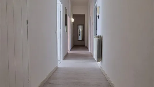 Rooms in Roma Municipio VIII – Appia Antica - photo 10