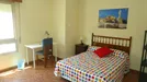 Room for rent, Córdoba, Andalucía, Calle Diego Serrano