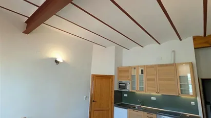 Apartment for rent in Valencia L'Eixample, Valencia (region)
