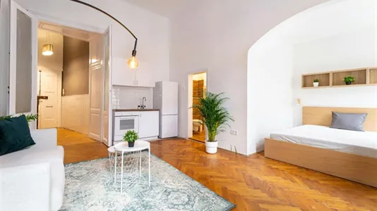 Apartments in Budapest Józsefváros - photo 4
