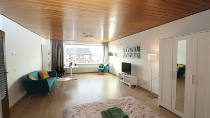 Apartment for rent in Schiedam, South Holland