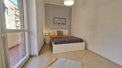 Room for rent in Roma Municipio VIII – Appia Antica, Rome