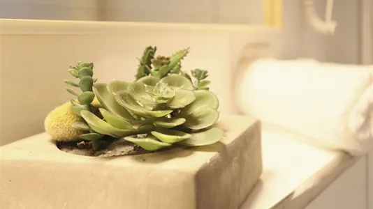 Apartments in Mannheim - photo 10