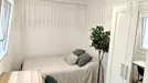 Room for rent, Córdoba, Andalucía, Calle Conquistador Benito de Baños, Spain