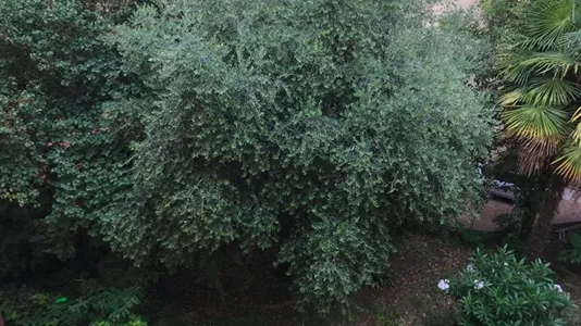 Apartments in Bologna - photo 7