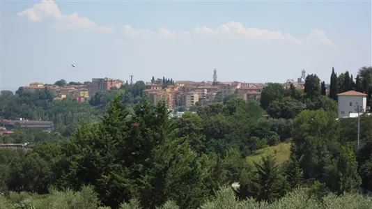 Apartments in Siena - photo 8