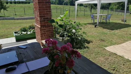 Rooms in Mondovì - photo 10